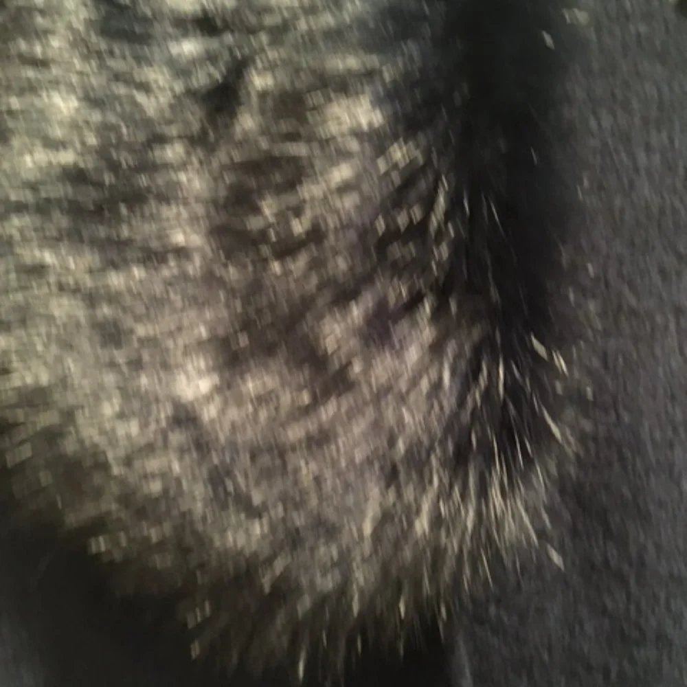 Banana Republic Dark Blue/Navy Imitation Fur-Trimmed Cardigan, Small - Picture 2 of 4